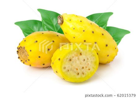 yellow prickly pear or opuntia with half isolated on a white background yellow prickly pear or opuntia with half isolated on a white background 62015379