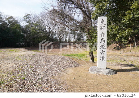 白鳥古峰的入口 白鳥古峰的入口 62016124