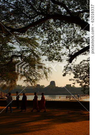 樹木和尚吳哥窟遺址世界遺產柬埔寨暹粒海外旅行旅遊目的地亞洲 62016337