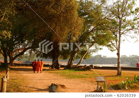 樹木和尚吳哥窟遺址世界遺產柬埔寨暹粒海外旅行旅遊目的地亞洲 樹木和尚吳哥窟遺址世界遺產柬埔寨暹粒海外旅行旅遊目的地亞洲 62016339