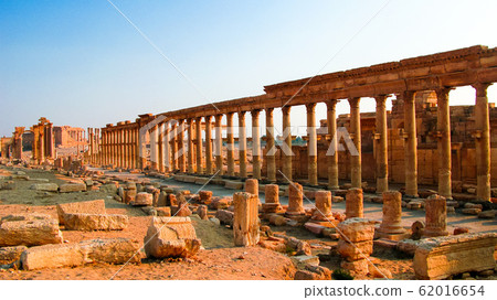 Panorama of Palmyra columns and ancient city, Panorama of Palmyra columns and ancient city, 62016654