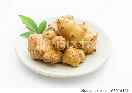 Jerusalem artichoke 62019566