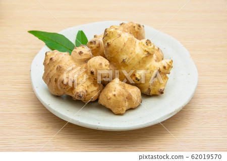 Jerusalem artichoke Jerusalem artichoke 62019570