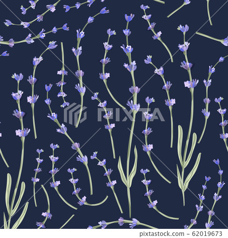 Provence seamless lavender vector pattern. 62019673