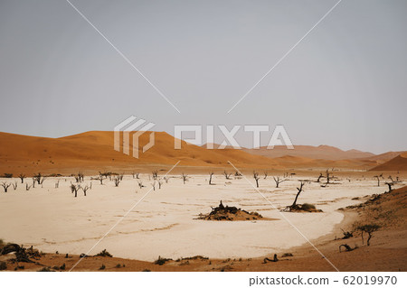 wideangle panoramic drone shot of dead trees in hot sand desert with sun wideangle panoramic drone shot of dead trees in hot sand desert with sun 62019970