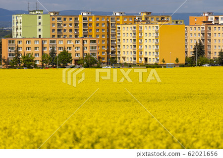 Zatec town and rapeseed field in northern Bohemia, 62021656