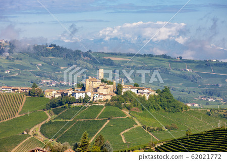 Castle and village Castiglione Falletto, Piemonte, 62021772