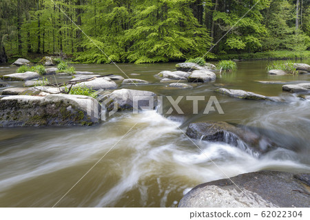 river Sazava near Smrcna, Czech Republic 62022304