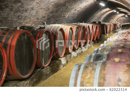 Old wine cellar in Pecs, Hungary 62022314