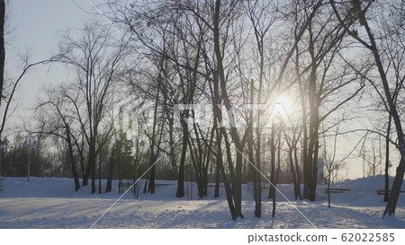 Winter sunset in the forest with sunbeams 62022585