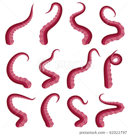 Tentacles octopus set underwater animal. Kraken or Squid red tentacle cut part isolated on white. Vector illustration Tentacles octopus set underwater animal. Kraken or Squid red tentacle cut part isolated on white. Vector illustration 62022797