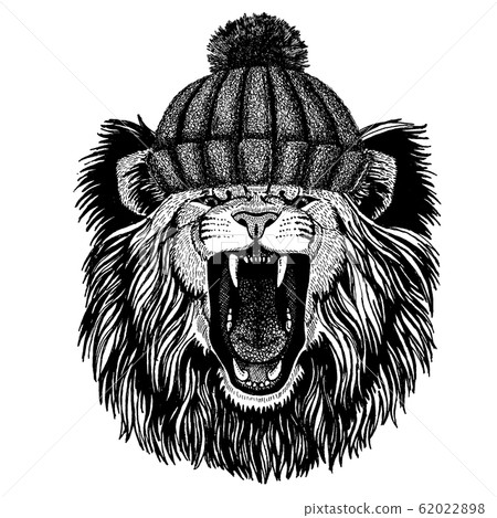 lion with christmas hat