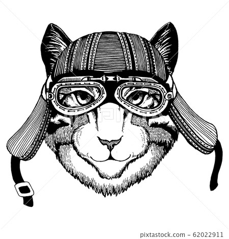 Wild biker animal wearing motorcycle helmet. Hand drawn image for tattoo, emblem, badge, logo, patch, t-shirt. Wild biker animal wearing motorcycle helmet. Hand drawn image for tattoo, emblem, badge, logo, patch, t-shirt. 62022911