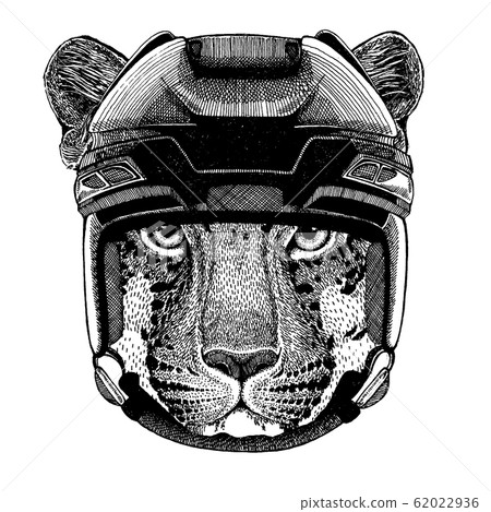 Wild cat, leopard, jaguar, panther, animal wearing hockey helmet. Hand drawn image of lion for tattoo, t-shirt, emblem, badge, logo, patch. Wild cat, leopard, jaguar, panther, animal wearing hockey helmet. Hand drawn image of lion for tattoo, t-shirt, emblem, badge, logo, patch. 62022936