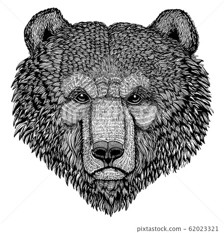 Bear. Wild animal for tattoo, nursery poster, children tee, clothing, posters, emblem, badge, logo, patch Bear. Wild animal for tattoo, nursery poster, children tee, clothing, posters, emblem, badge, logo, patch 62023321