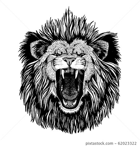 Lion. Wild animal for tattoo, nursery poster, children tee, clothing, posters, emblem, badge, logo, patch Lion. Wild animal for tattoo, nursery poster, children tee, clothing, posters, emblem, badge, logo, patch 62023322