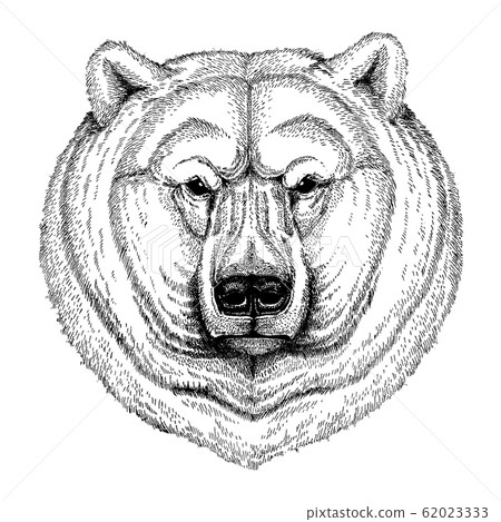 Polar bear. Wild animal for tattoo, nursery poster, children tee, clothing, posters, emblem, badge, logo, patch 62023333