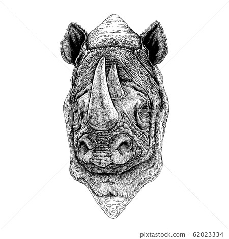 Rhinoceros, rhino. Wild animal for tattoo, nursery poster, children tee, clothing, posters, emblem, badge, logo, patch Rhinoceros, rhino. Wild animal for tattoo, nursery poster, children tee, clothing, posters, emblem, badge, logo, patch 62023334