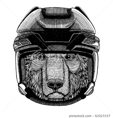 Brown bear, animal wearing hockey helmet. Hand drawn image of lion for tattoo, t-shirt, emblem, badge, logo, patch. 62023337