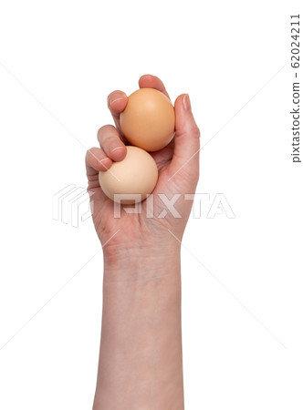 Hand Holding Raw Chicken Egg Isolated on White Hand Holding Raw Chicken Egg Isolated on White 62024211