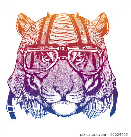 Wild tiger wearing motorcycle helmet. Speed and road. Vintage style vector illustration. Face of dangerous animal. Portrait of biker. Realistic head of cat hunter. 62024465
