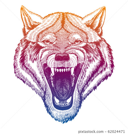 Wild Wolf Animal Head Portrait Of Dangerours Stock Illustration