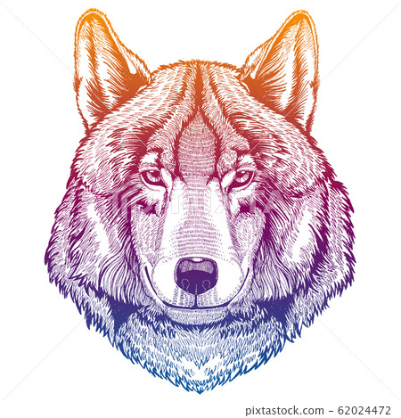 Wild Wolf Animal Head Portrait Of Dangerours Stock Illustration