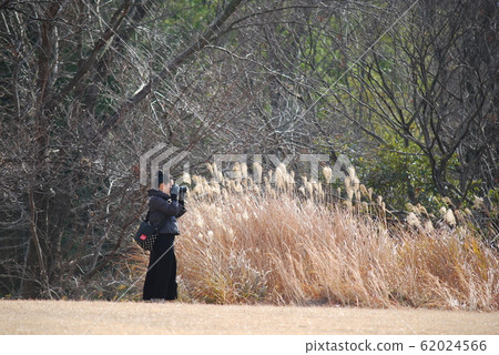 Camera girls Camera girls 62024566