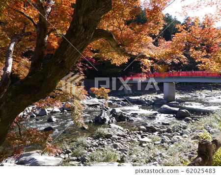 Autumn leaves of Korankei (100 best places to see Japanese autumn leaves) 62025483