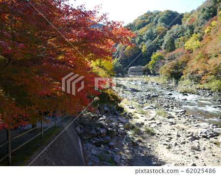 Autumn leaves of Korankei (100 best places to see Japanese autumn leaves) 62025486