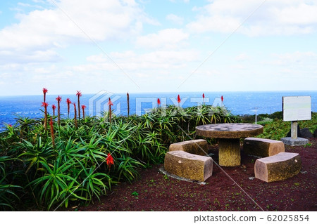 從Okotsuhana Lighthouse附近的蘆薈花園Miharadai八丈島景觀 62025854