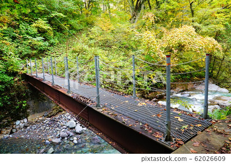 前往苗場赤湯溫泉的山路 62026609