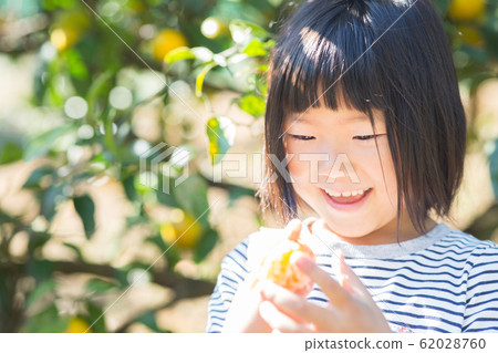 Man picking oranges 62028760