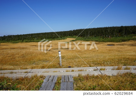 我們去秋天的八幡平吧 62029684