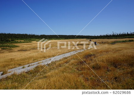 我們去秋天的八幡平吧 62029686