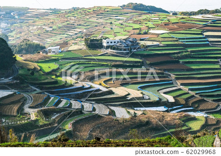 雲仙市和南甲山町的梯田 雲仙市和南甲山町的梯田 62029968