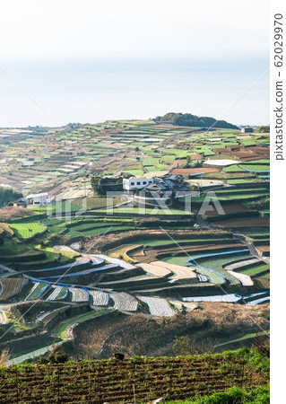 雲仙市和南甲山町的梯田 雲仙市和南甲山町的梯田 62029970