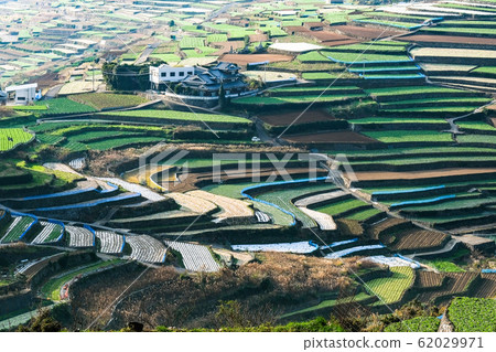 雲仙市和南甲山町的梯田 雲仙市和南甲山町的梯田 62029971