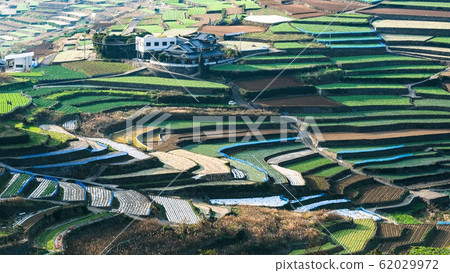 雲仙市和南甲山町的梯田 雲仙市和南甲山町的梯田 62029972
