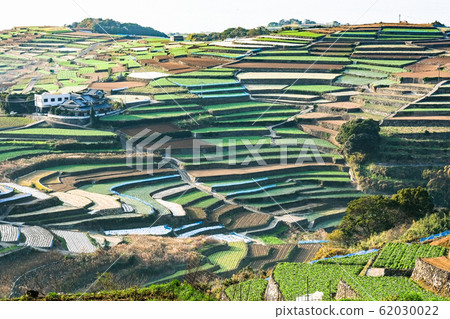 雲仙市和南甲山町的梯田 雲仙市和南甲山町的梯田 62030022