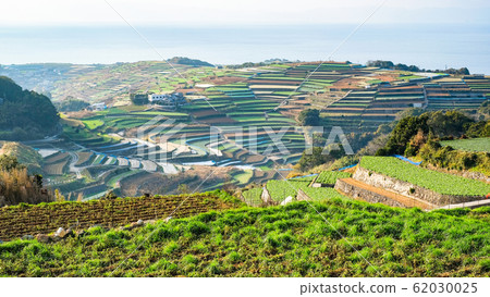 雲仙市和南甲山町的梯田 雲仙市和南甲山町的梯田 62030025