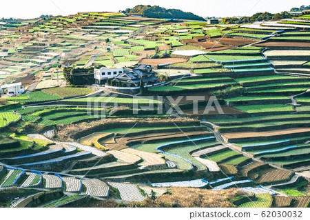 雲仙市和南甲山町的梯田 雲仙市和南甲山町的梯田 62030032
