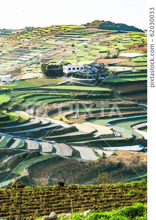 Terraced fields in Unzen City and Minamikushiyama Town 62030033