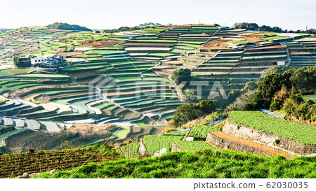 Terraced fields in Unzen City and Minamikushiyama Town 62030035