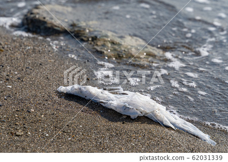 Shopping bag launched on a sandy beach marine garbage Shopping bag launched on a sandy beach marine garbage 62031339