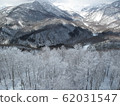Rime-3 62031547