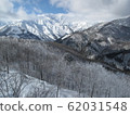 Rime-4 62031548
