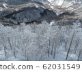 Rime-5 62031549