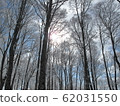 Rime-6 62031550