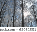 Rime-7 62031551